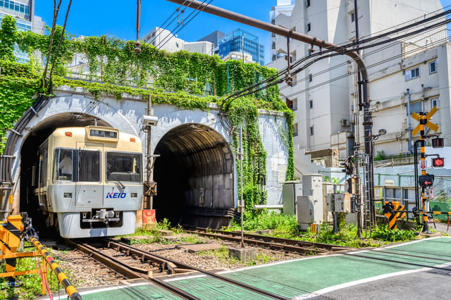 神泉に住むなら気を付けること