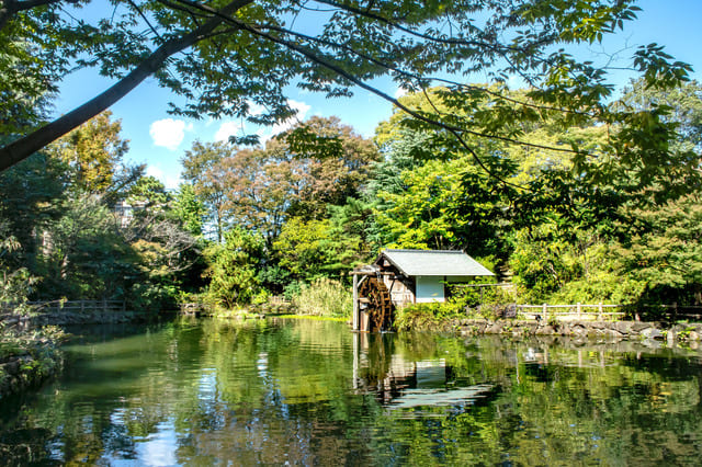 松濤に住むなら気を付けること