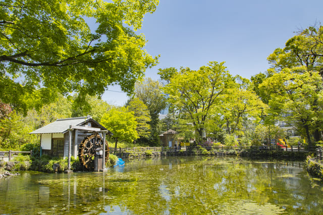 鍋島松濤公園