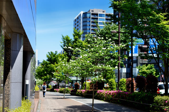 代々木上原のある渋谷区の治安について